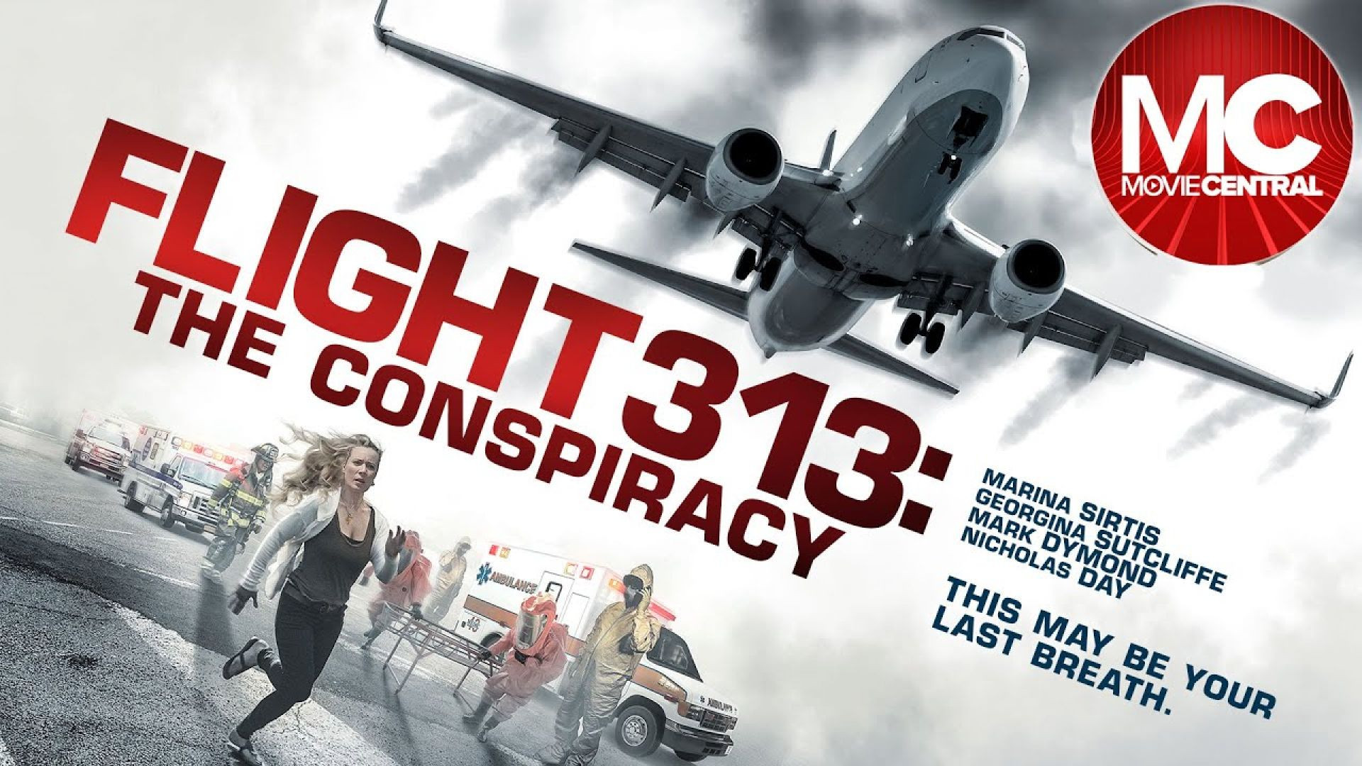 Flight 313